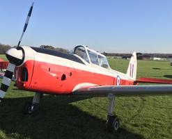 Chipmunk T10 share at Goodwood