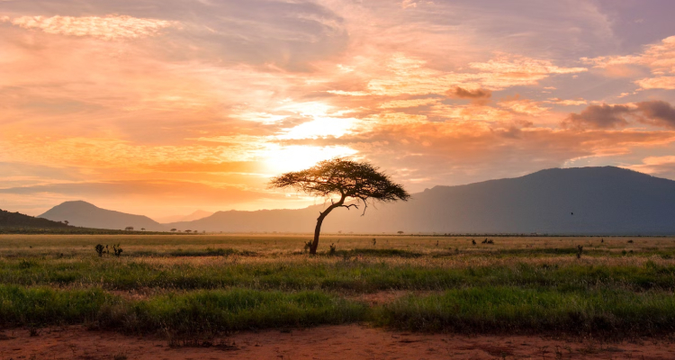 Fly-in Safari Destinations in Africa: An Adventure of a Lifetime